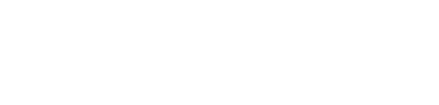 Lehmann Logo Wht